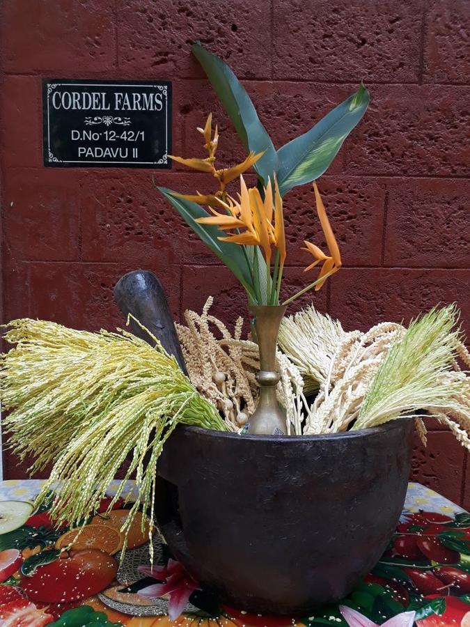 Cordel Farms Mangaluru Zewnętrze zdjęcie