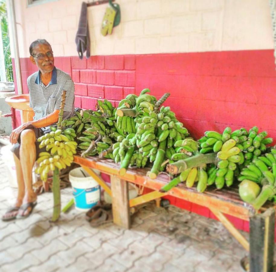 Cordel Farms Mangaluru Zewnętrze zdjęcie