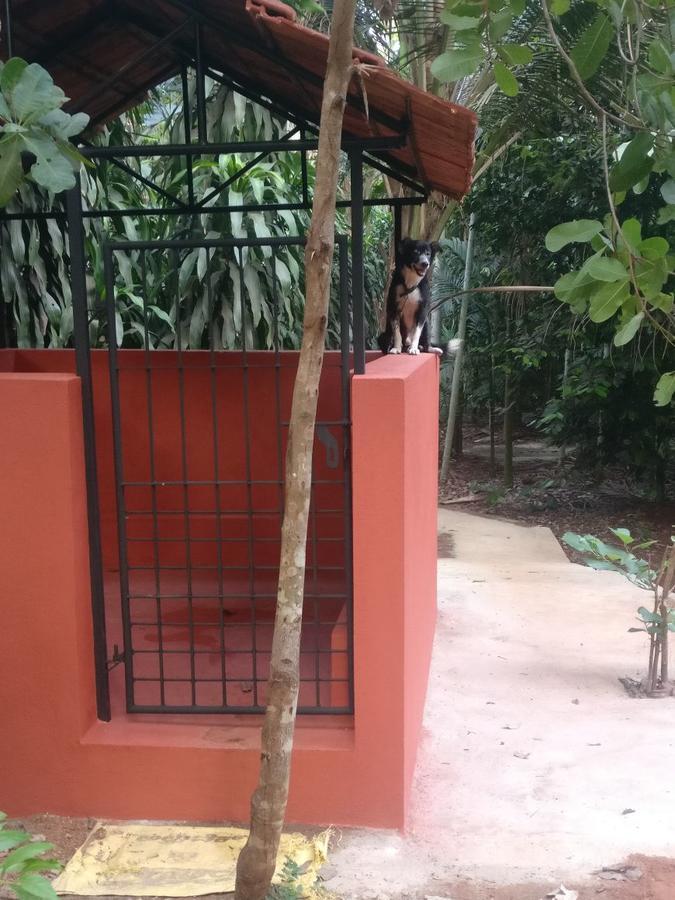 Cordel Farms Mangaluru Zewnętrze zdjęcie