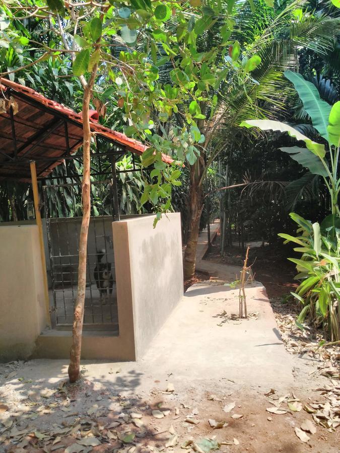 Cordel Farms Mangaluru Zewnętrze zdjęcie